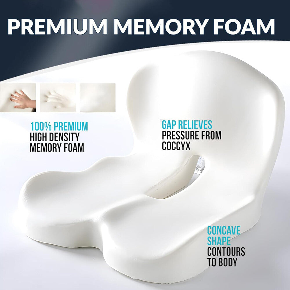 Seat Cushion W/Lumbar Support
