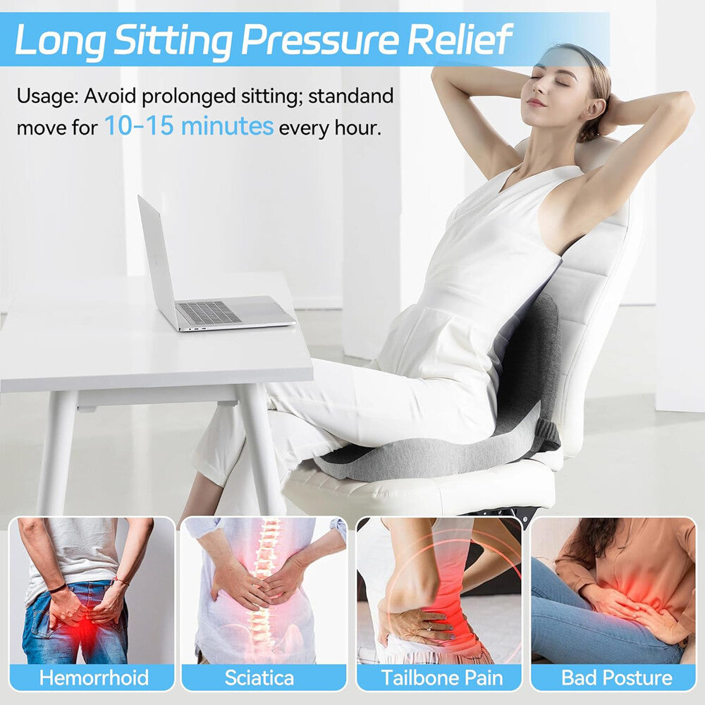 Seat Cushion W/Lumbar Support