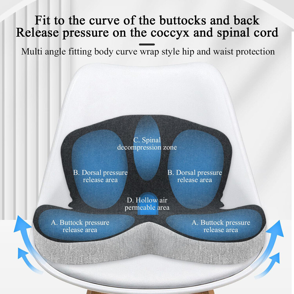 Seat Cushion W/Lumbar Support